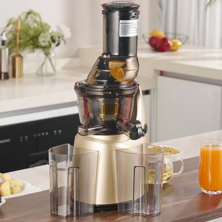 Beste roestvrijstalen 60 huish - Electric Slow Juicer Cold Press recensie en prijs