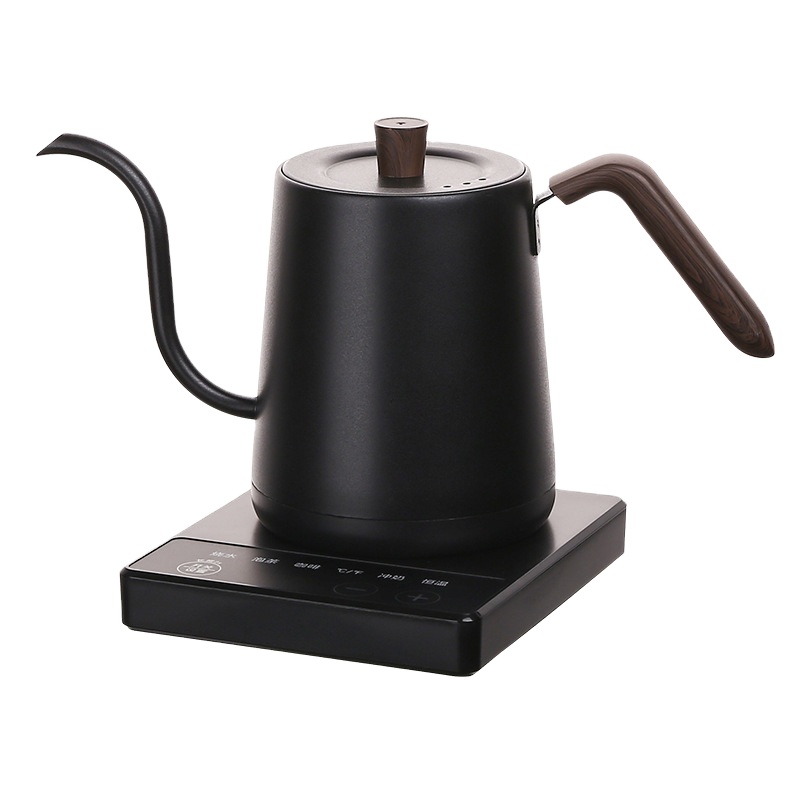 Elektrische gooseneck waterkok - Electric Kettle Temperature Control recensie en prijs
