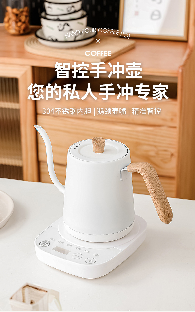 Elektrische gooseneck waterkok - Electric Kettle Temperature Control recensie en prijs
