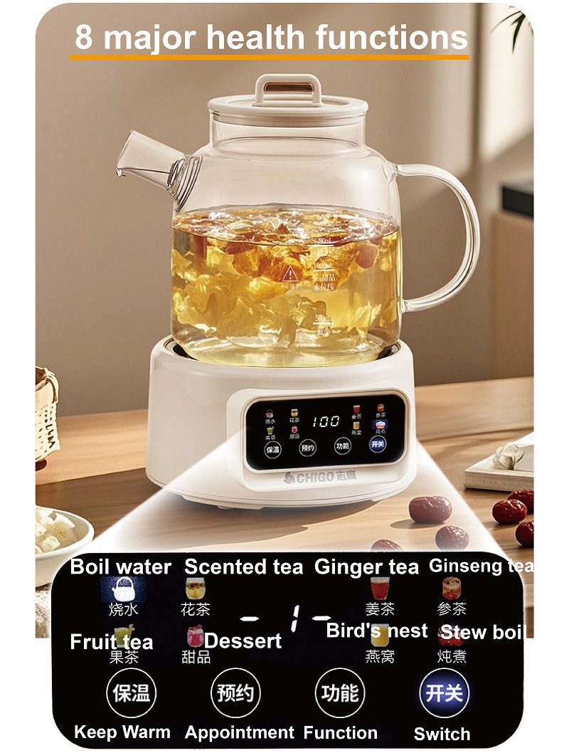 600W Multifunctionele Gezondhe - Electric Kettle Temperature Control recensie en prijs