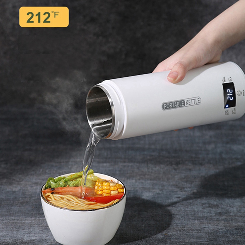 DT39 Draagbare Reisketel met 4 - Electric Kettle Temperature Control recensie en prijs